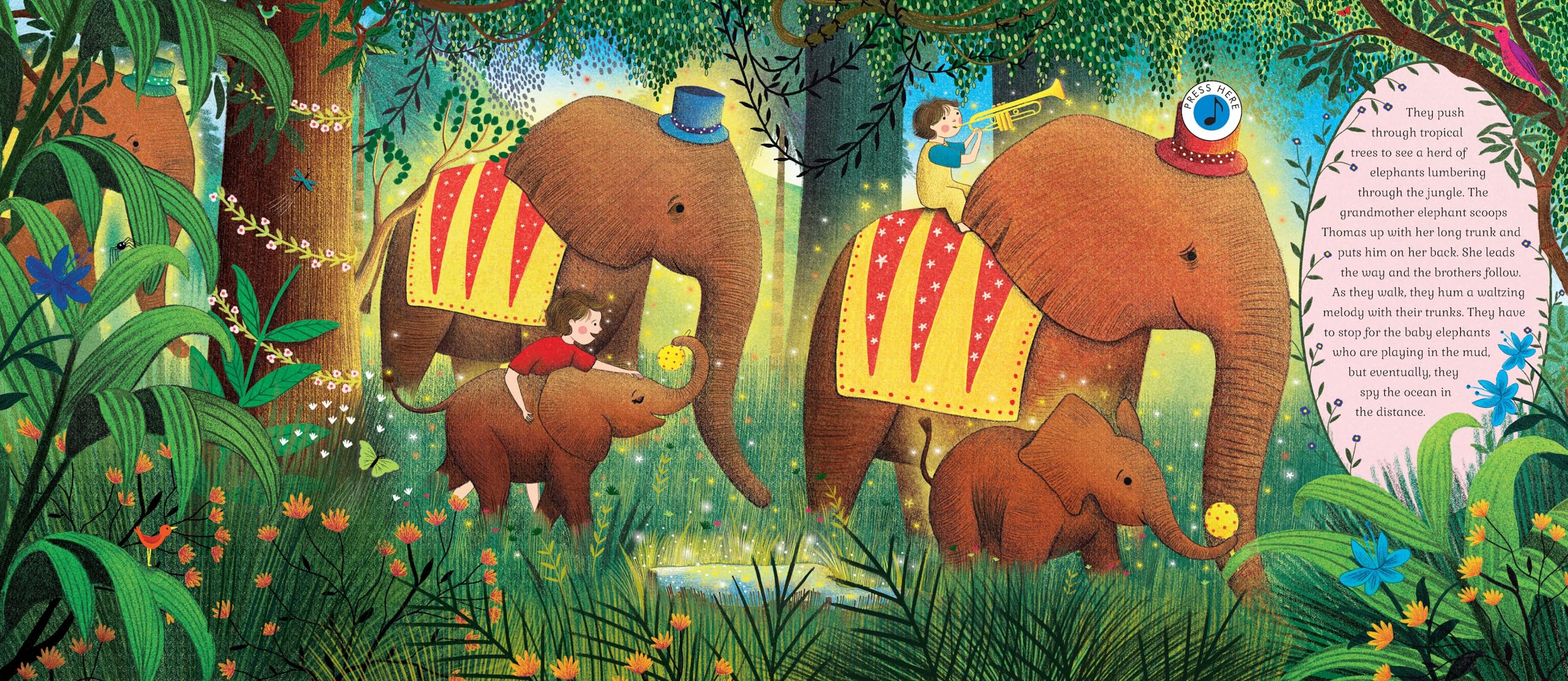 The Story Orchestra: Carnival of the Animals: Press the note to hear Saint-Saëns' music (Volume 5) (The Story Orchestra, 5)