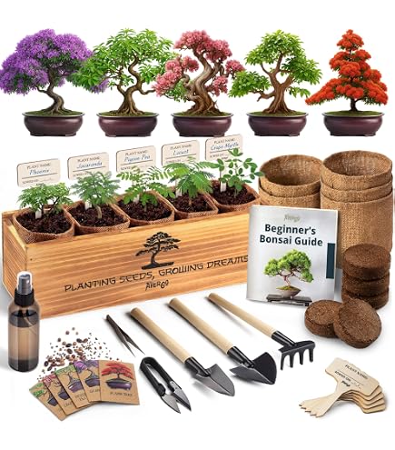 Rare 10Pcs Blue Maple Seeds Bonsai Ornamental Plants Garden Indoor