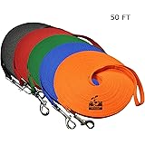 Downtown Pet Supply Dog/Puppy Obedience Recall Training Agility Lead