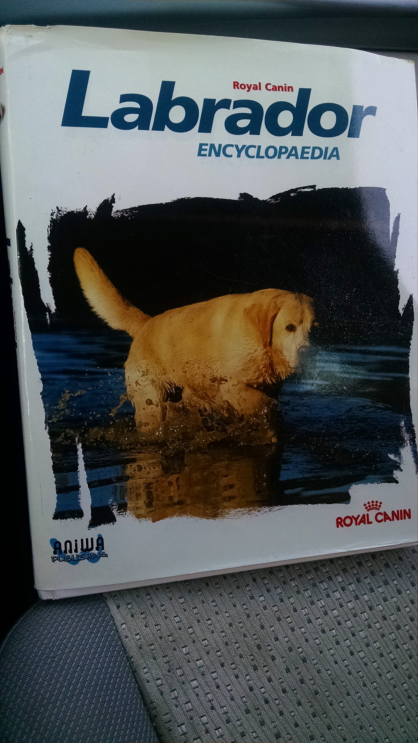 royal canin labrador