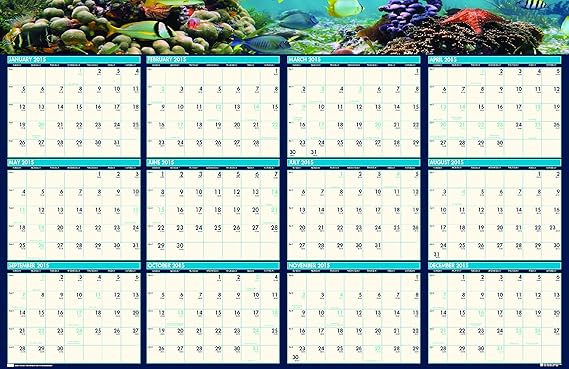House of Doolittle Earthscapes Sea Life Reversible Schreiben / Abwischen Wandplaner, Januar 2015 bis Dezember 2015, 24 x 37 Z