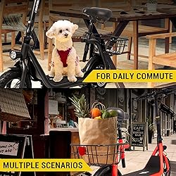 Phantomgogo Electric Scooter for Adults Foldable