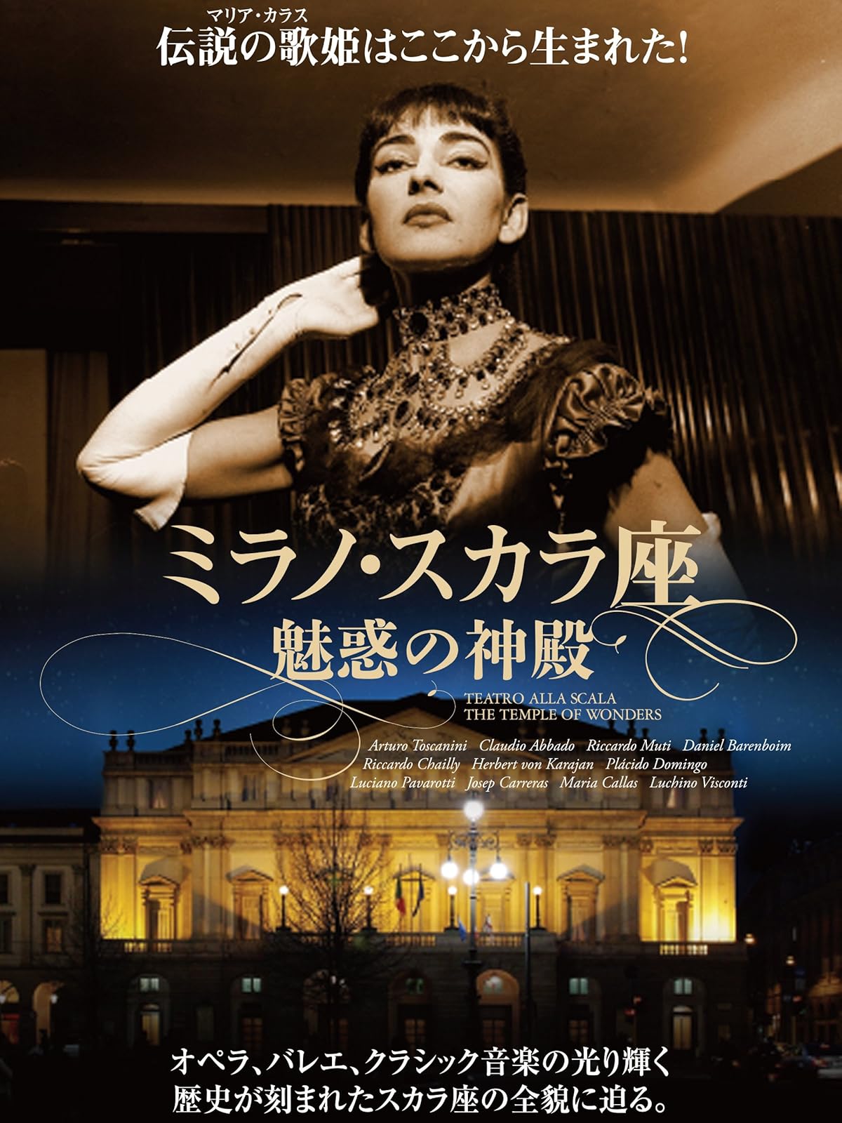 Amazon Co Jp 映画 レオナルド ダ ヴィンチ 美と知の迷宮 を観る Prime Video