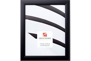 Craig Frames 1WB3BK 19 by 28-Inch Picture Frame, Smooth Finish, 1-Inch Wide, Black