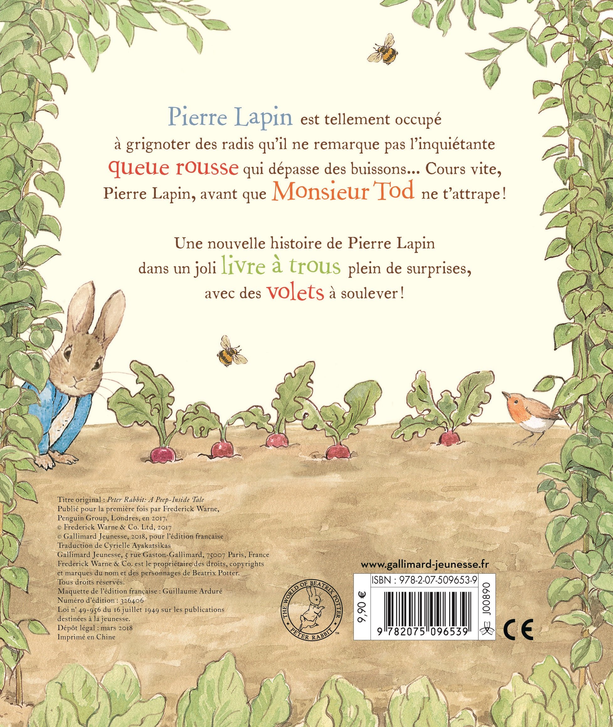 Cours Vite Pierre Lapin Collectif Ayakatsikas Cyrielle Amazon Com Books