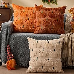DFXSZ Fall Pillow Covers 18x18 Set of 2 Fall