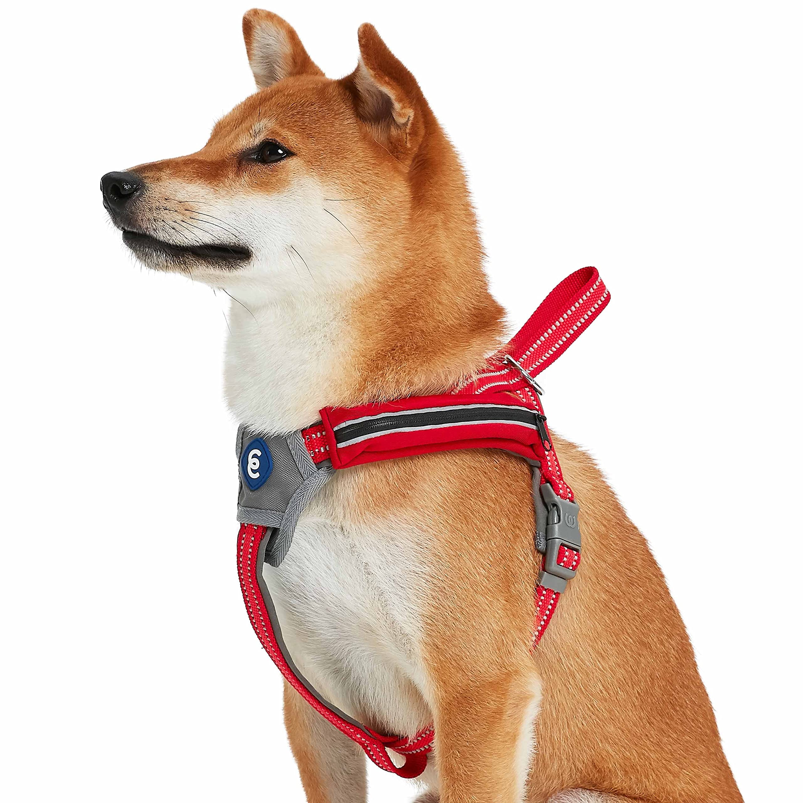Blueberry Pet Essentials Reflective Back to Basics Dog Harness Vest, Rouge Red, Small, Adjustable Harnesses for Dogs