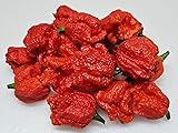 Dragons Breath 5+ Dried Peppers