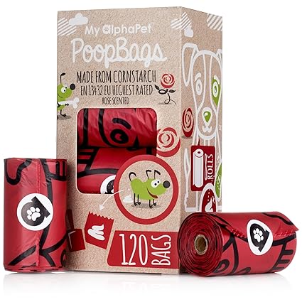 91CHsVL6GqL._SX425_.jpg 91CHsVL6GqL._SX425_.jpg