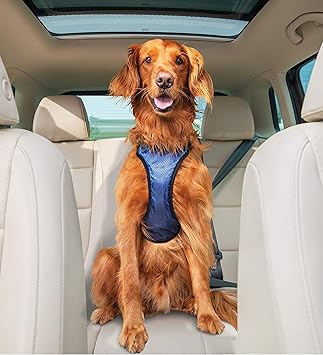 amazon uk dog car harness