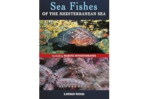Sea Fishes Of The Mediterranean Including Marine Invertebrates