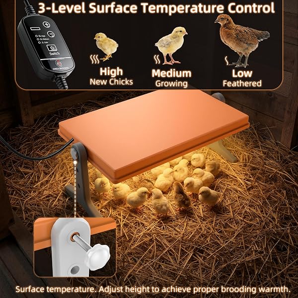 CHICK BROODER HEATER PLATE – 12″ X 8″ ADJUSTABLE HEIGHT & TEMPERATURE POULTRY WARMER FOR UP TO 10 CHICKS, BROODER HEATING PLATE FOR CHICKS AND DUCKLINGS, ORANGE