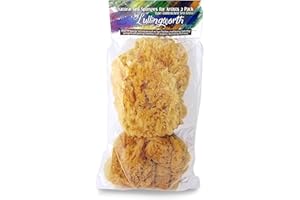 Natural Sea Sponges for Artists - Unbleached 5"-5.5" 2pc Value Pack: Great for Painting Decorating Texturing Sponging Marbling Effects Faux Finishes Crafts & More by Lullingworth®