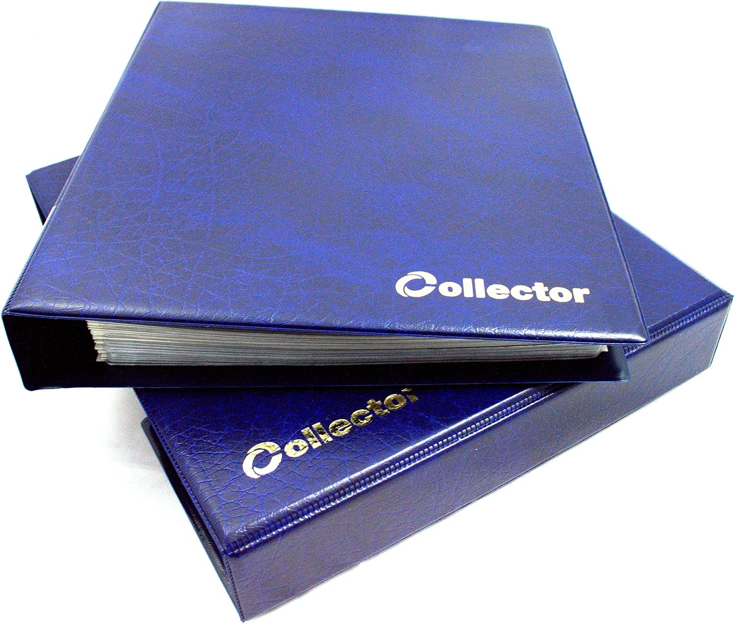 COLLECTOR - Banknote Album in Case Folder Book Notes Banknotes with 10 Pages and 10 Dividers - Very Big Capacity (Blue) - Image 3