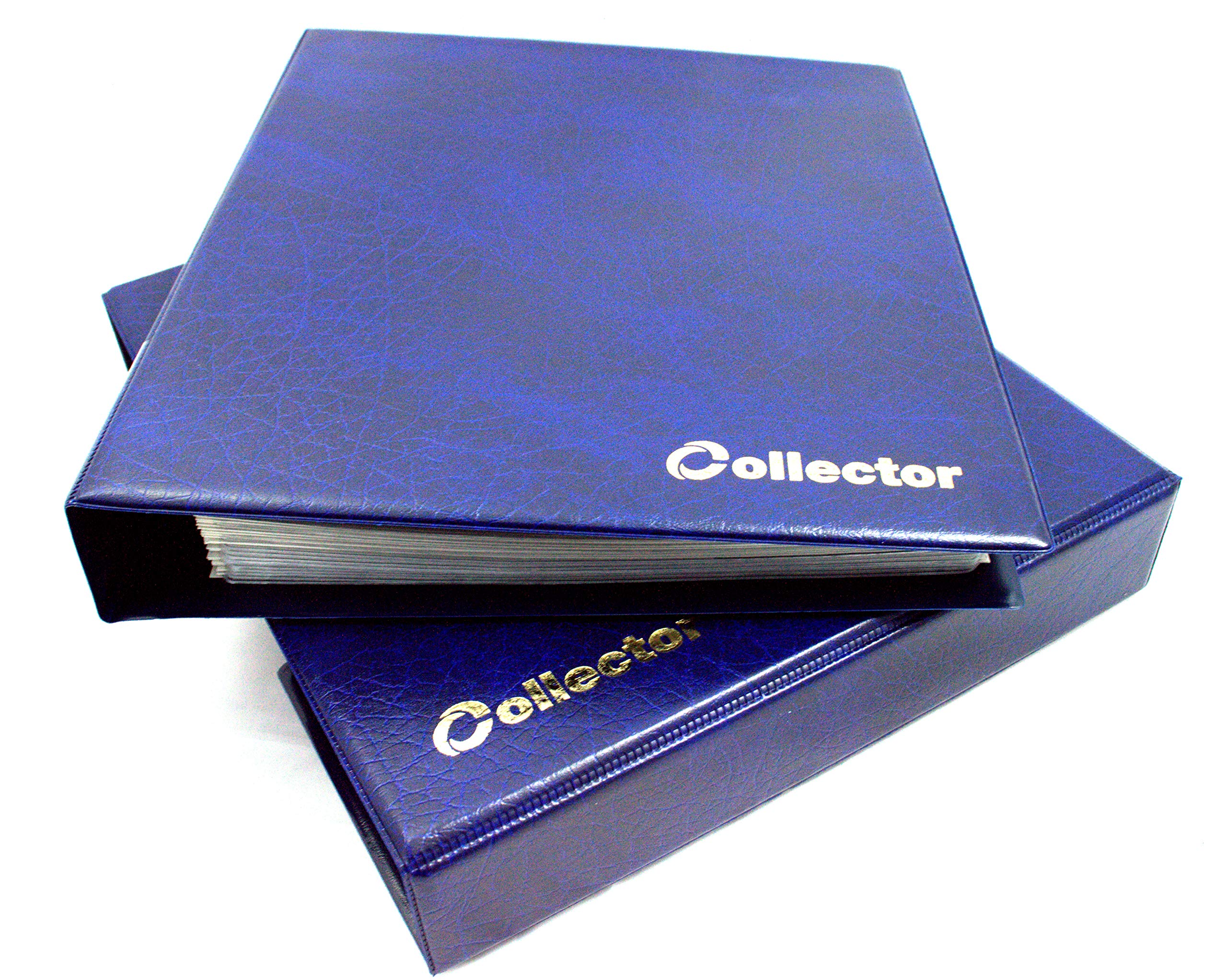 COLLECTOR - Banknote Album in Case Folder Book Notes Banknotes with 10 Pages and 10 Dividers - Very Big Capacity (Blue)