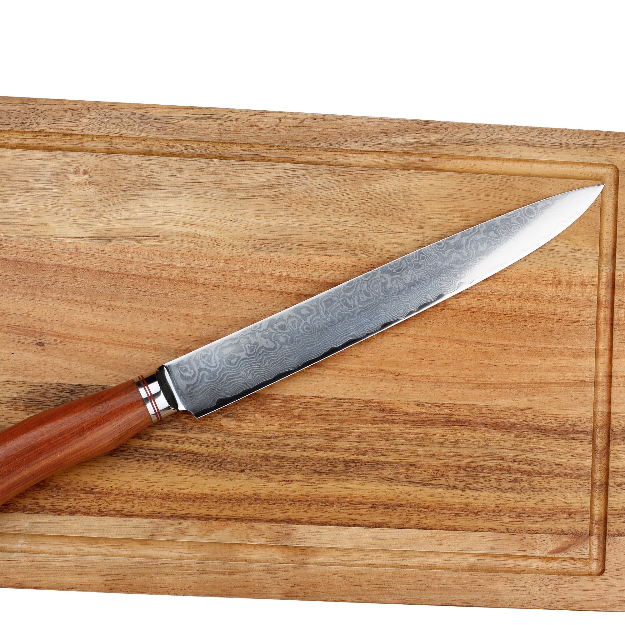 Sunlong 10 Inch Sashimi Sushi KnifeYanagi Raw Fish Slicing Knife