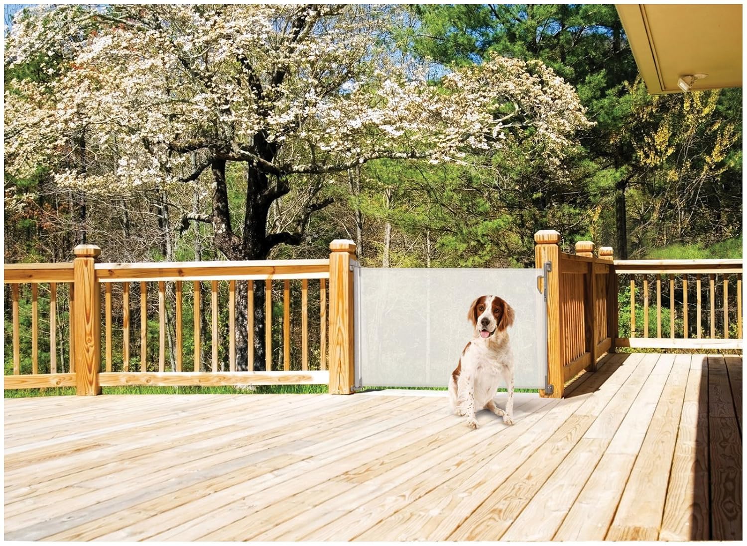 dreambaby retractable gate l820