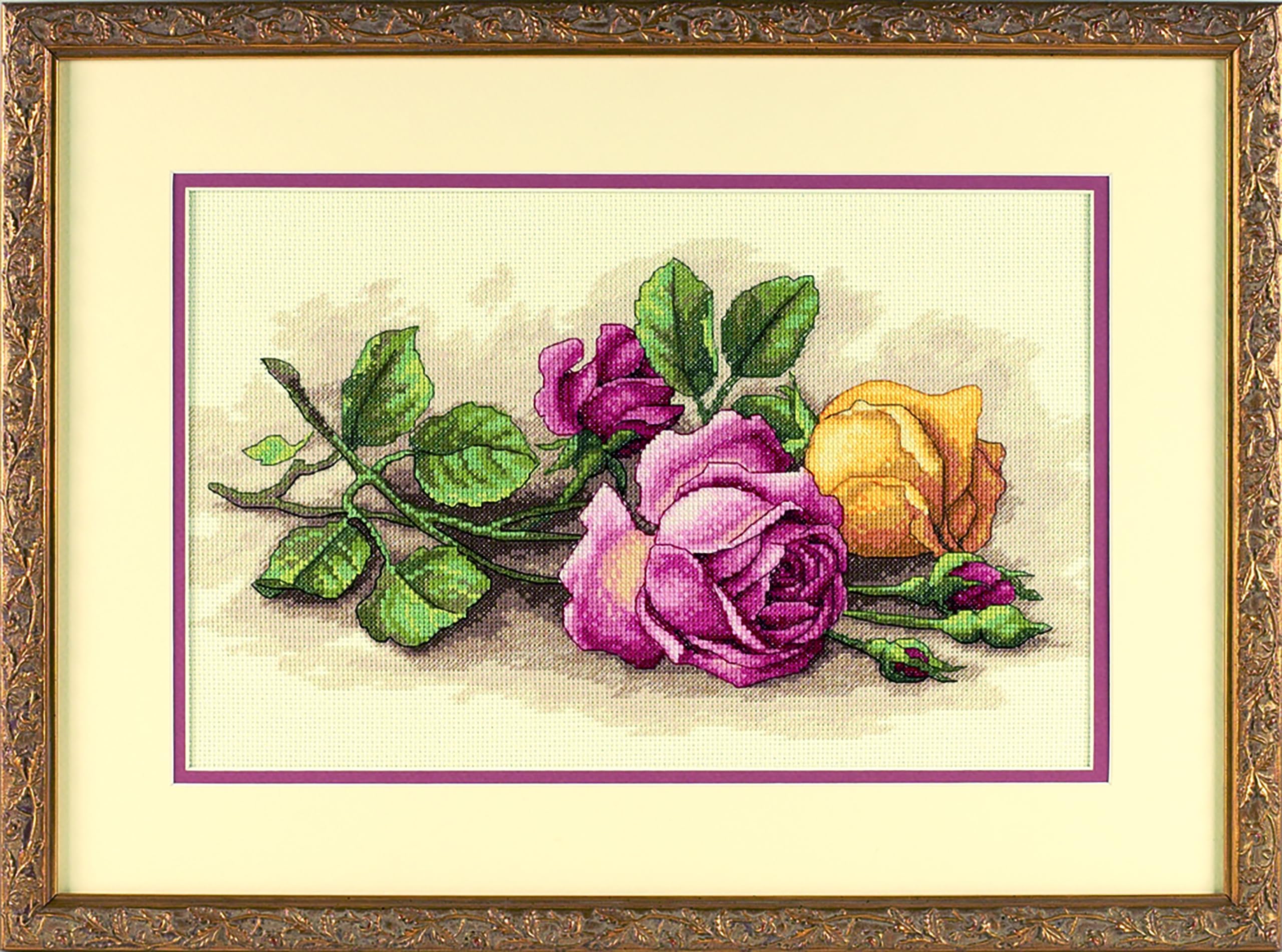 DIMENSIONS 13720 Rose CUTTINGS, Multi Color