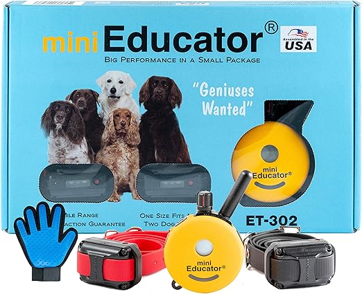 mini educators