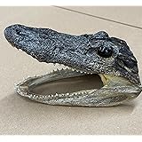 91CLQib2XmL. AC UL160 SR160,160 Azaka: The Spirit of Agriculture and Hard Work