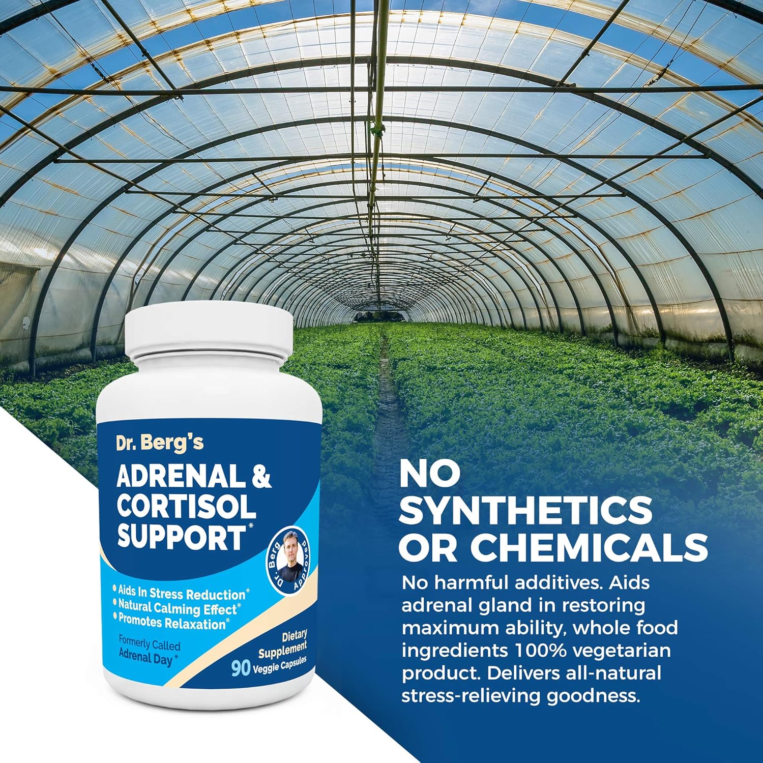 Dr. Berg’s Adrenal & Cortisol Support Supplement - Natural Stress & Anxiety Relief for a Better Mood, Focus and Relaxation - Turn Off Your Busy Mind - Vegetarian Ingredients 90 Capsules (1 Pack): Health & Personal Care