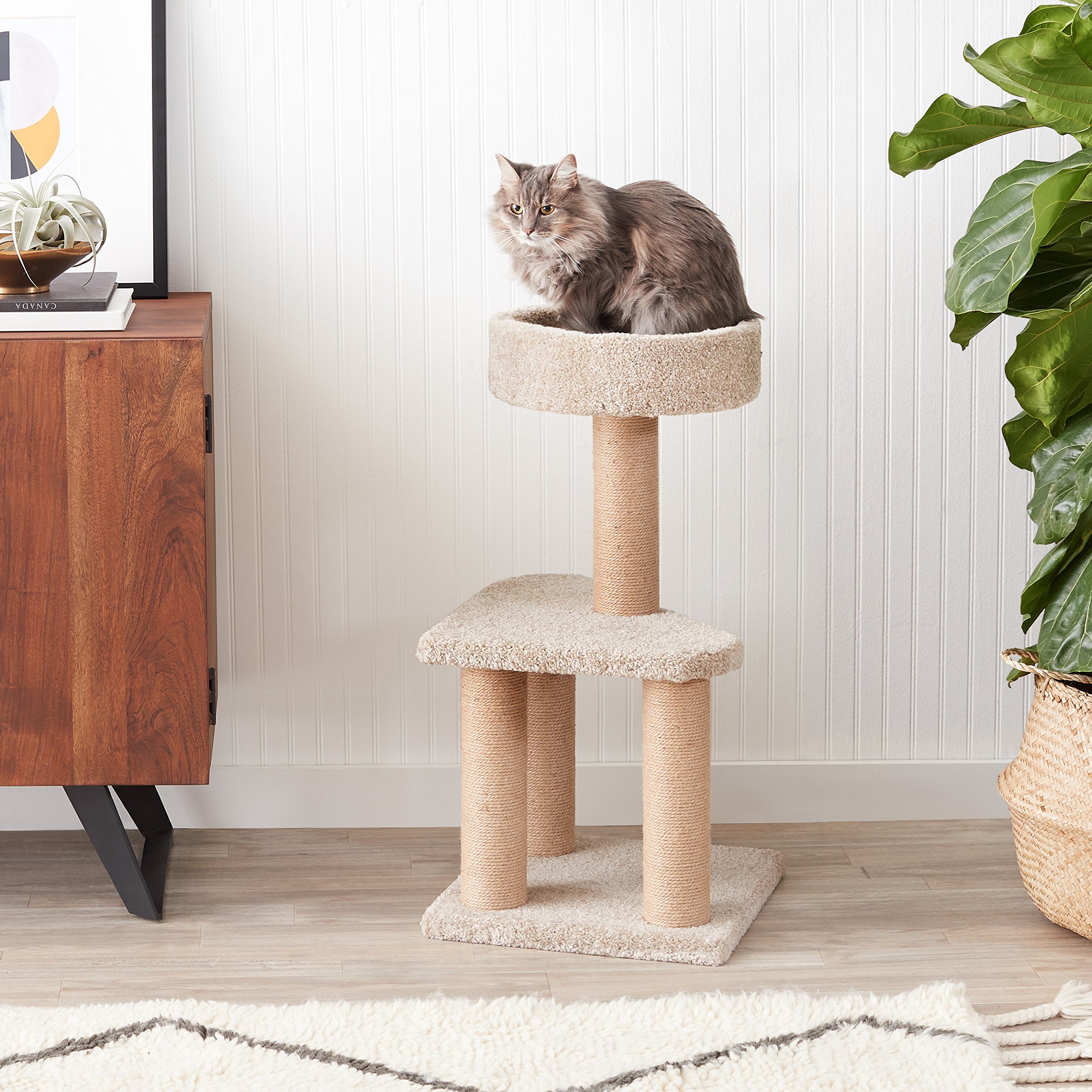 AmazonBasics Cat Activity Tree with Scratching Posts, Medium
