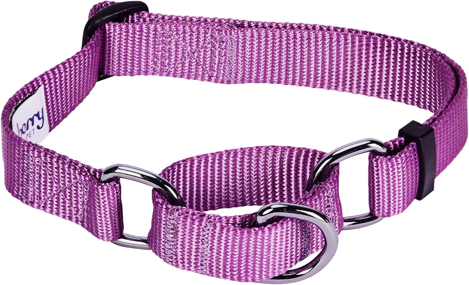 Blueberry Pet Safety Training Martingale Dog Collar, Violet, Large