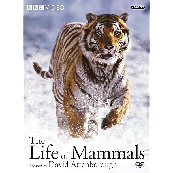 Amazon.com: Life in the Undergrowth : Various, Various