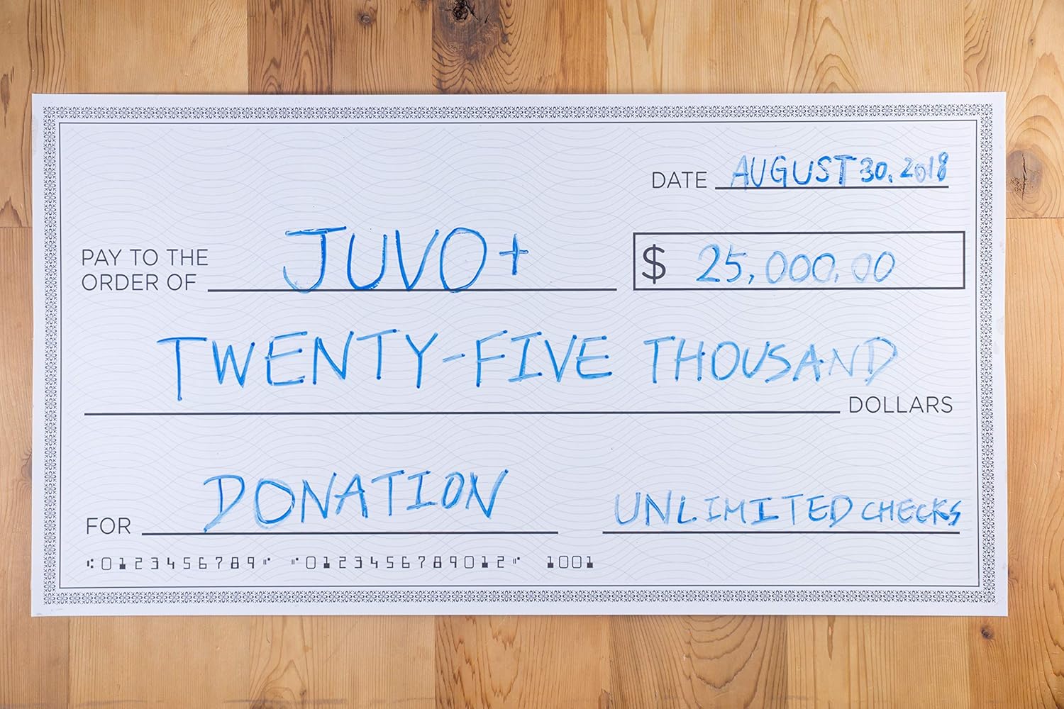 Reusable Giant Oversized Fake Paper Checks for Endowment Award - Large Dry Erase Novelty Cheque for Rewards, Donations, Gag Gifts, Raffle Winners and Fundraisers, 30 x 16 Inches : Office Products