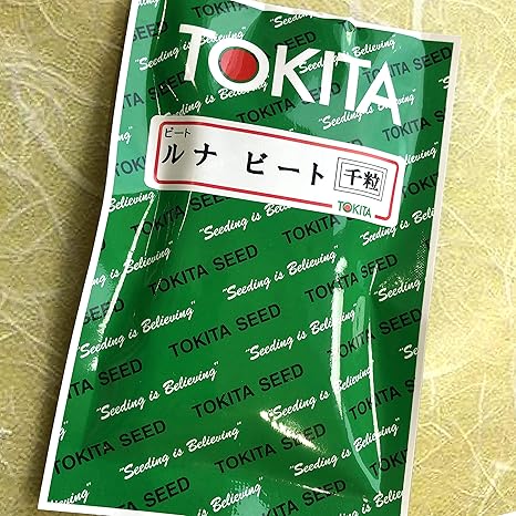 Amazon Co Jp ルナ 黄 生産者様向け大容量種子 ゴールデンビーツのタネ 1 000粒 ホーム キッチン