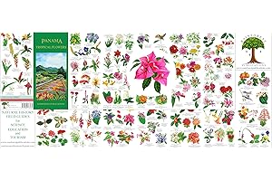 Panama Tropical Flowers Field Guide (Laminated Foldout Pocket Field Guide) (English and Spanish Edition)