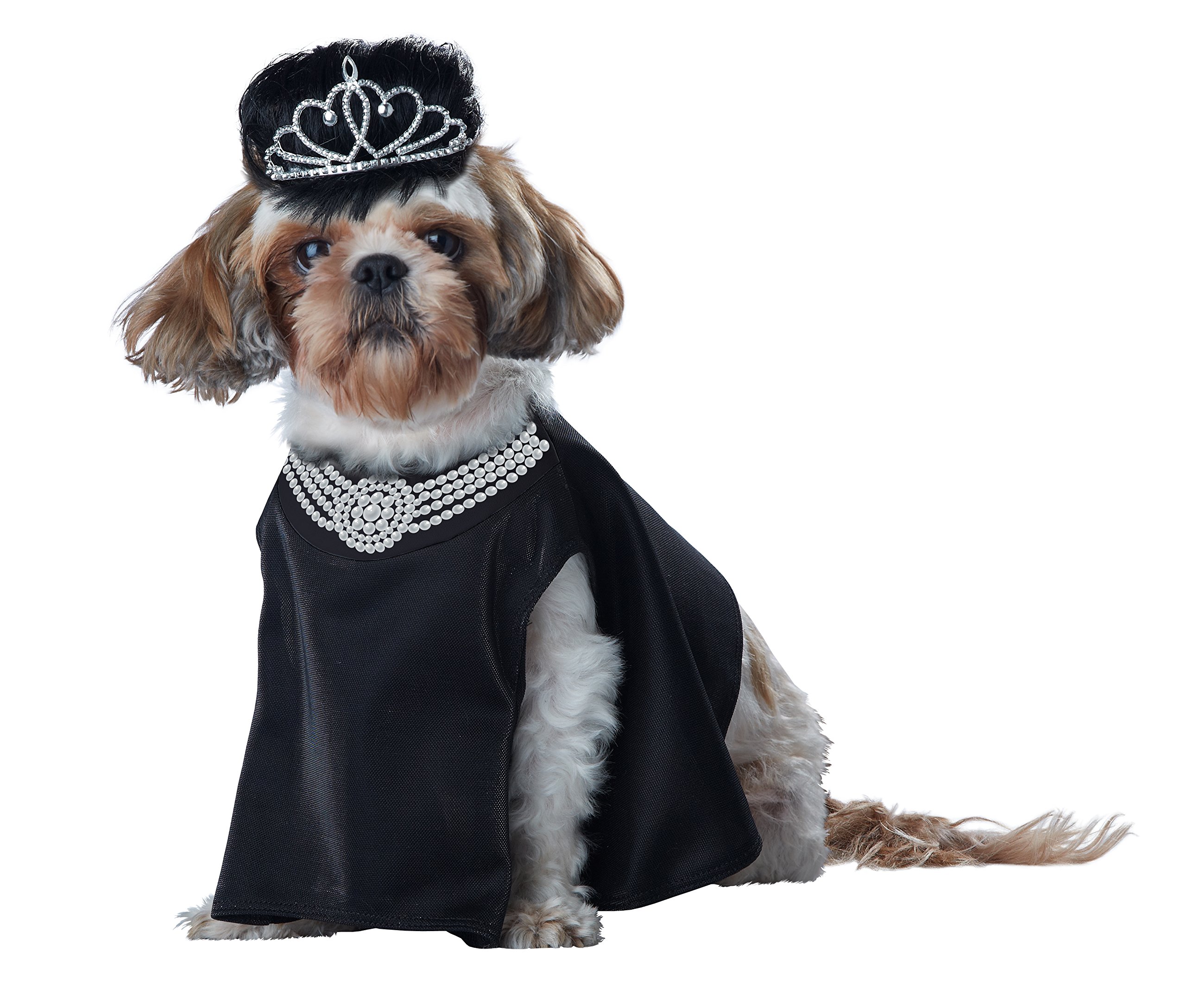 California Costumes Barkfest At Sniffany'S Dog Costumes, Pet, Black, Small