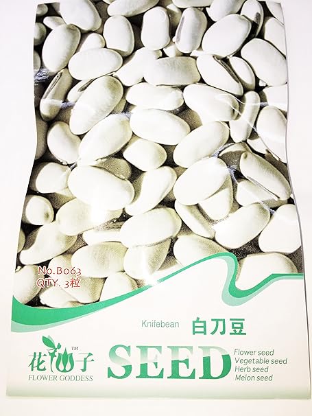 Amazon 珍種子 白インゲン豆の種 3粒入 野菜