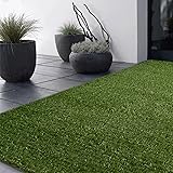 Outdoor turf rug