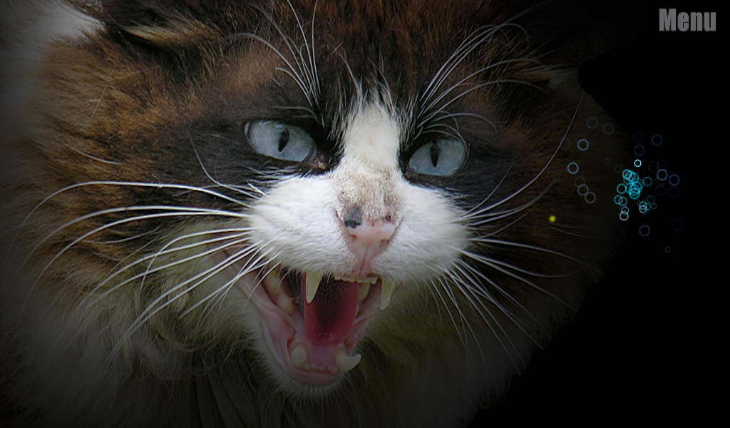 Scare Your for Android