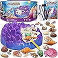 Amazon.com: PIBEX Ocean Fossil Dig Kit, Dig up 20+ Real Shells ...