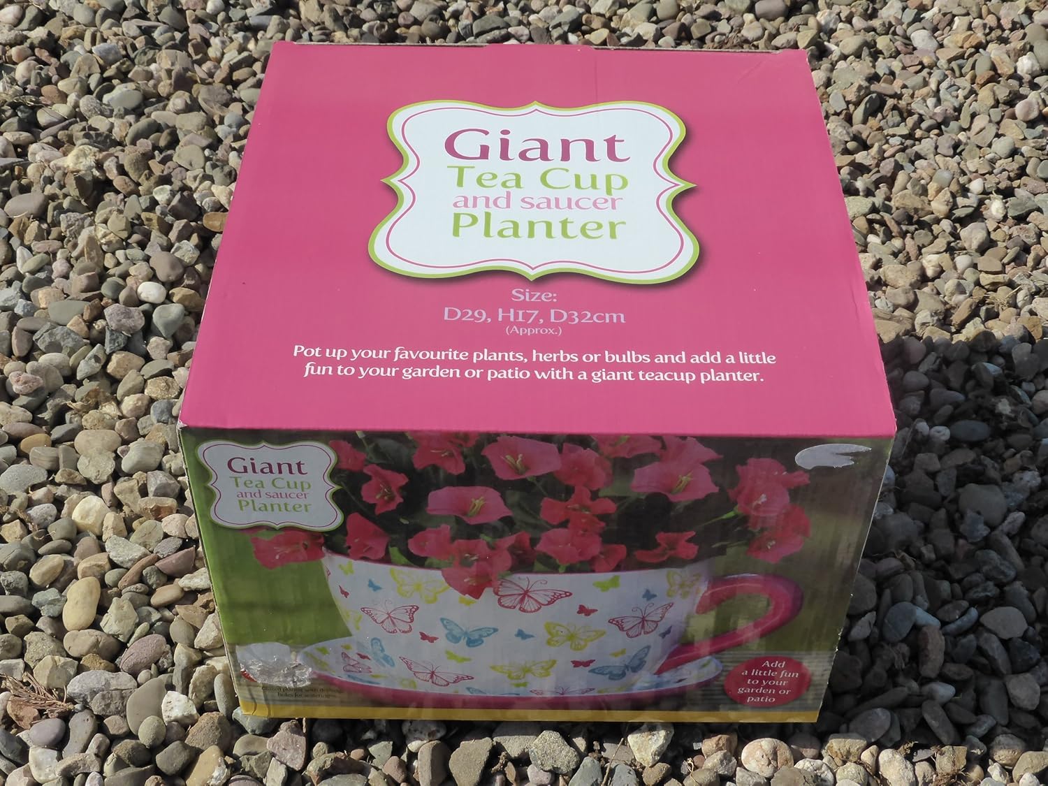 Giant Tea Cup and Saucer Planter Butterflys Amazon.co.uk Garden