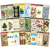 HomArt Matchbox Designs of Your Choice (2 Unique Box Designs with 4" Matches, Striking Stickers by Thankful Greetings) Decorative &amp; Festive for Home Decor, Gifts, Accessories | Long Safety Matches