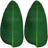ARTIFIPLANT Large Banana Leaves, 8 Pcs Leaf