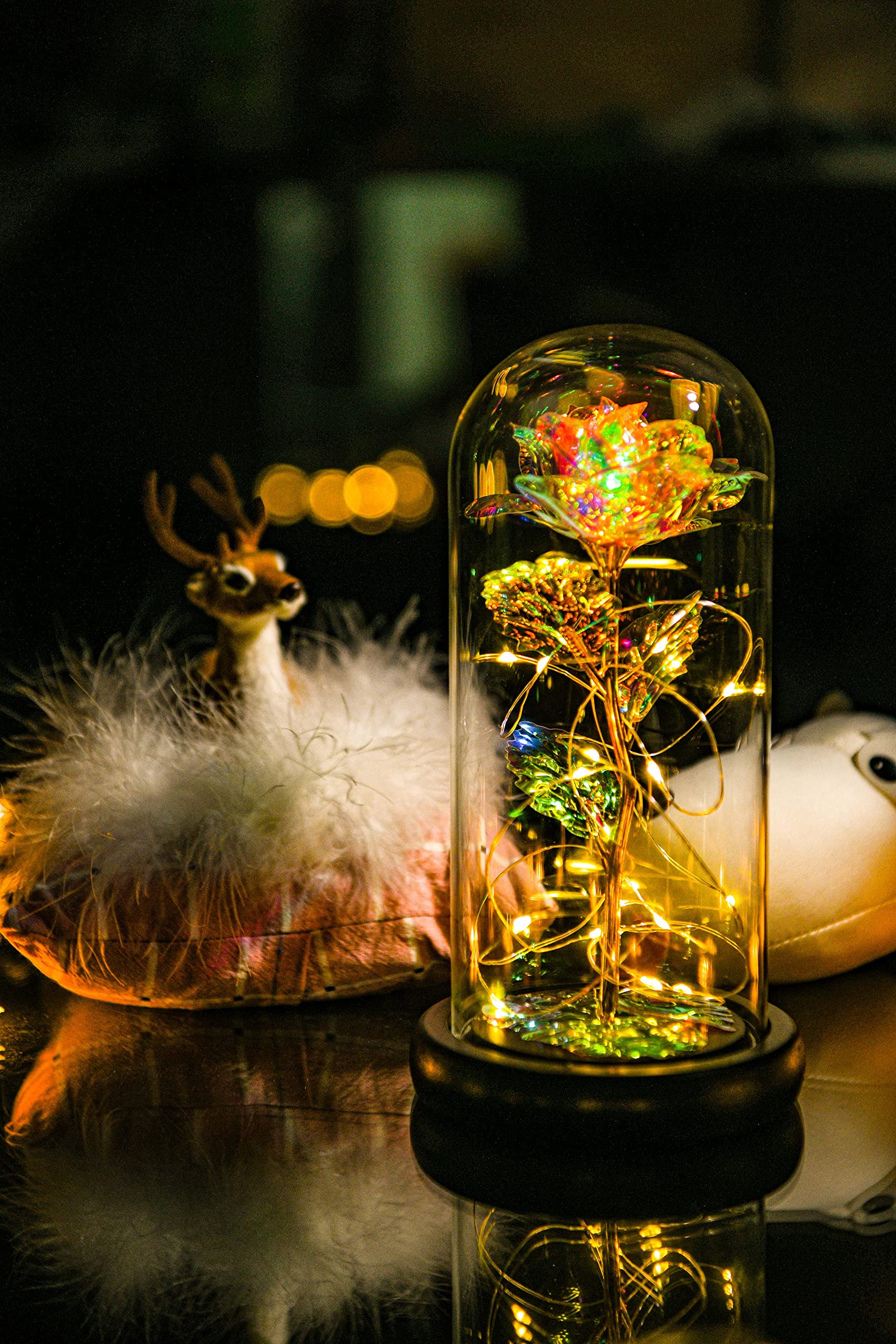 Glass Dome with Led Light