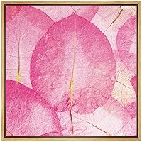 SIGNWIN Framed Canvas Wall Art Pink, Red, Yellow Transparent Spring Leaves Botanical Plants Photography Minimalism Modern XRay Relax/Calm for Living Room, Bedroom, Office - 16x16 inches