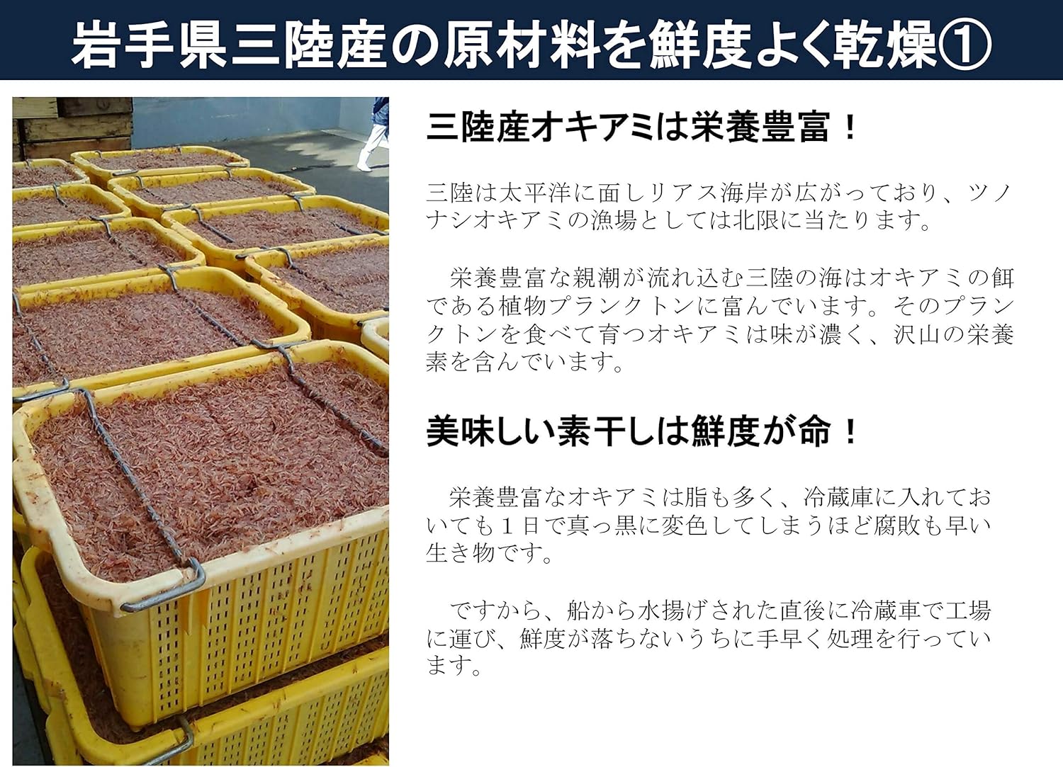 Amazon 無添加 無着色 岩手県三陸産素干しあみえび50g 3袋セット オキアミ カネジョウ 干しえび 通販