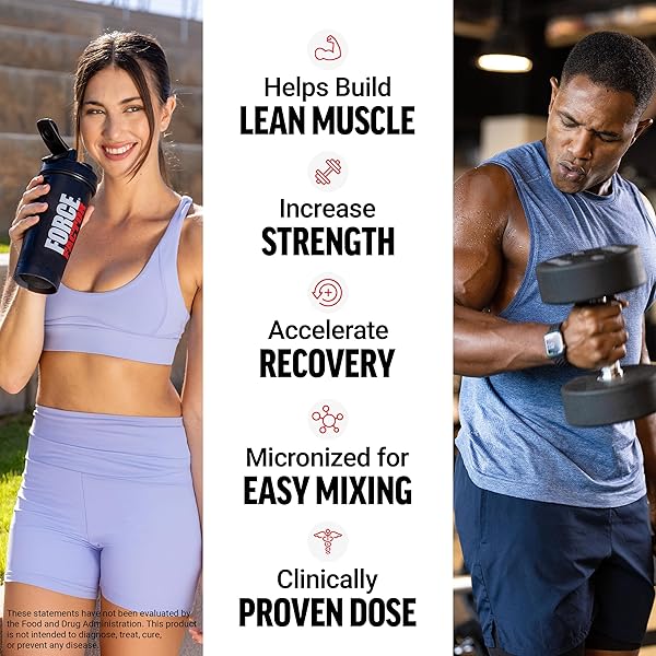 FORCE FACTOR CREATINE MONOHYDRATE MICRONIZED POWDER 500G, 5G DOSE TO SUPPORT MUSCLE GROWTH, STRENGTH, RECOVERY, COGNITIVE HEALTH & MEMORY, UNFLAVORED, 100 SERVINGS, 17.6 OZ