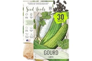 Seed Needs Luffa Seeds for Planting Loofah Sponge Gourds - Non-GMO Heirloom & Untreated Veggie Seed to Plant a Home Grown Outdoor Vegetable Garden (1 Pack)