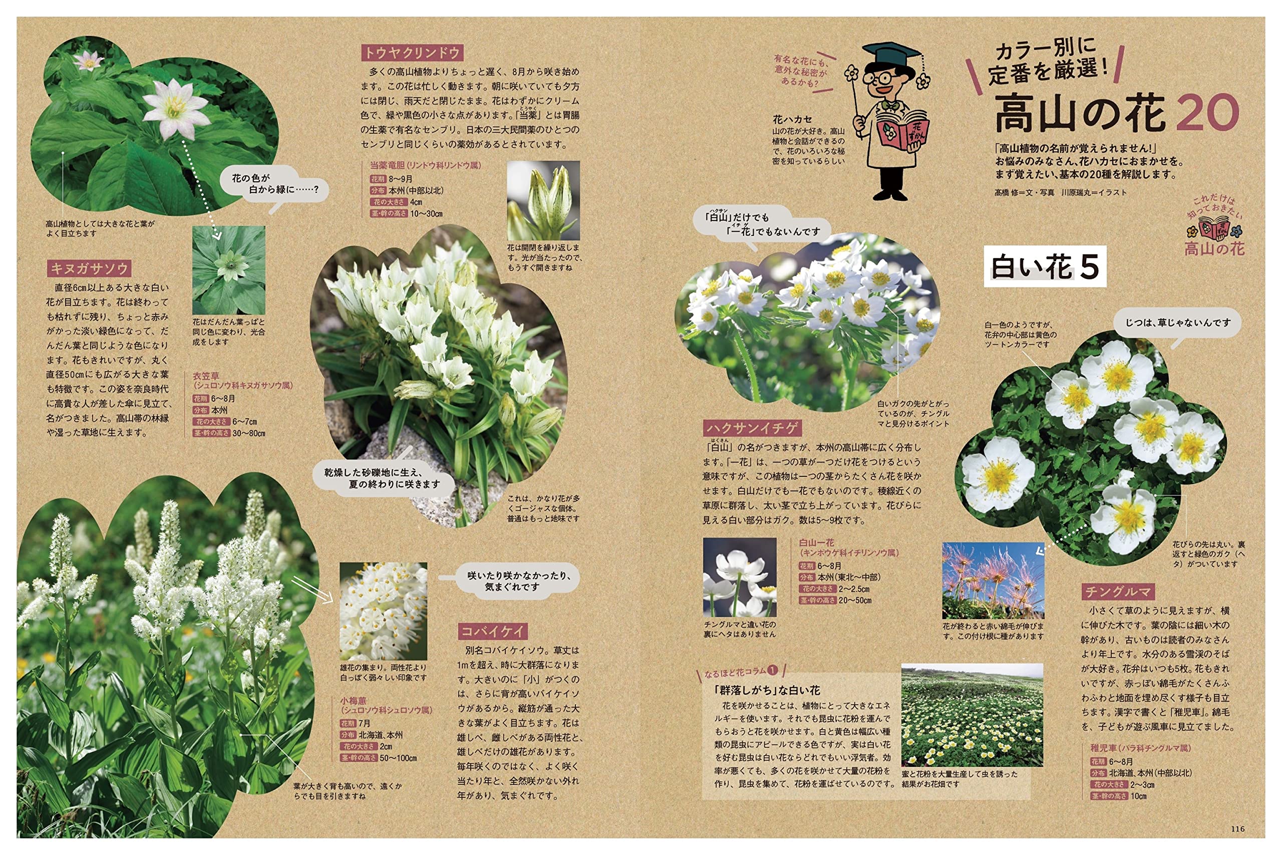 Amazon Co Jp 山と溪谷 22年7月号 槍穂高 後立山 剱岳 北アルプス三大岩稜帯 別冊付録 タイプで選ぶ 全国岩の山コースガイド 山と溪谷編集部 Japanese Books