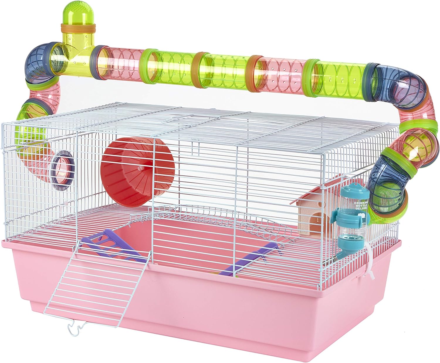 rescue weiner dogs near me