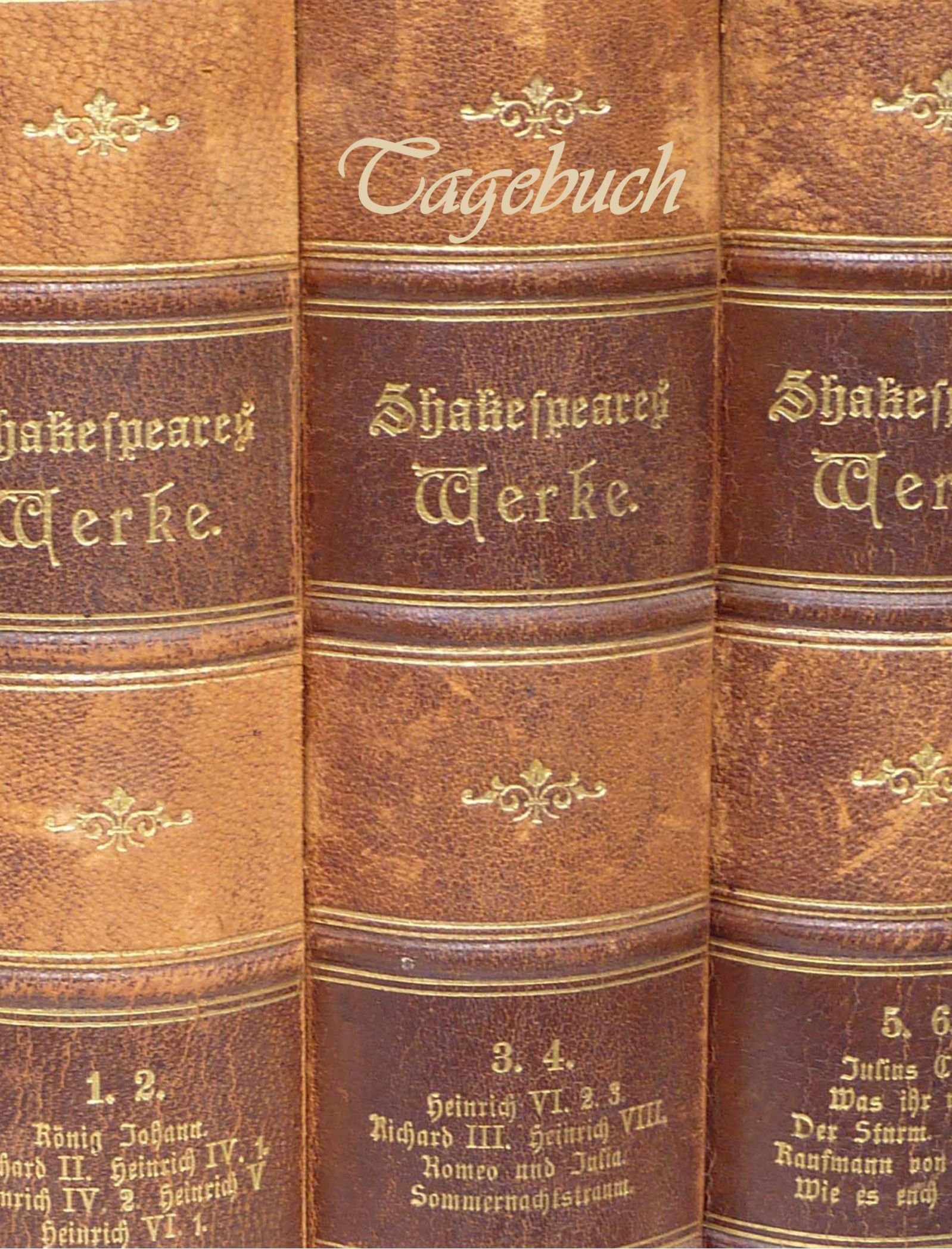 TageBuch -Shakespeare: Genug Platz für dein Leben - fast DIN A4, Diary, Notizbuch, liniert
