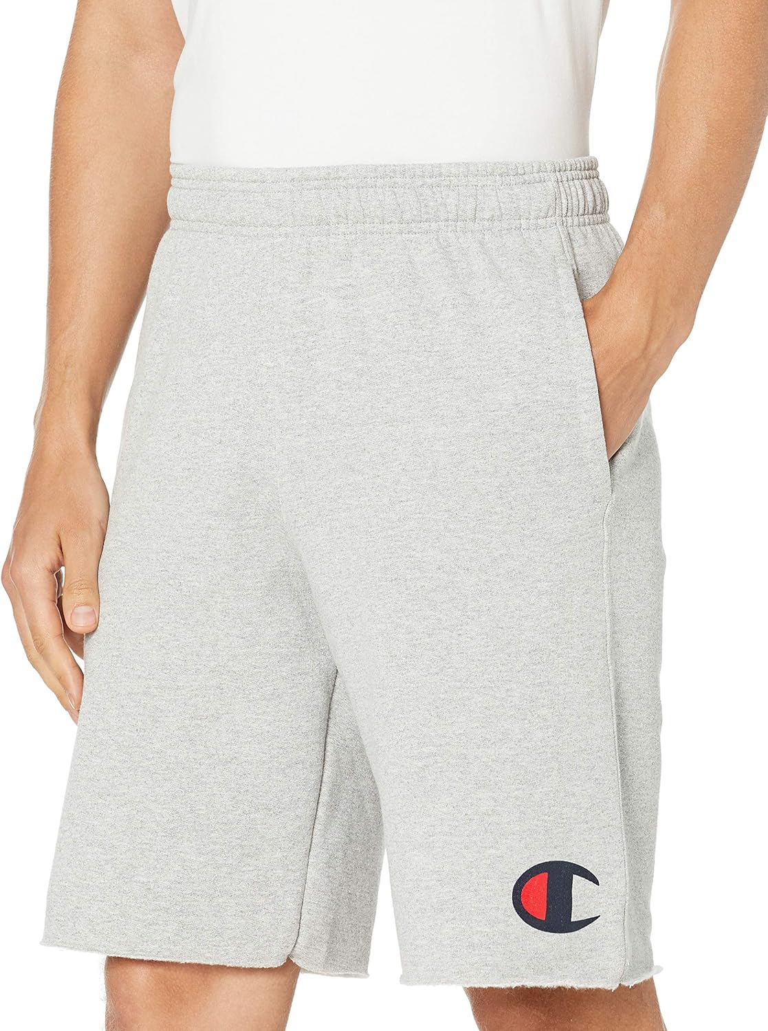 Champion Men's Graphic Powerblend Fleece Short: Clothing