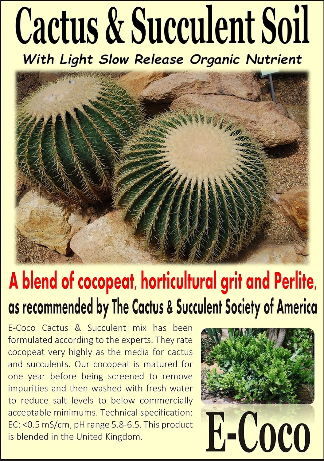 Cactus & Succulent Compost Cacti Soil with Perlite for REPOTTING