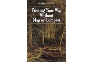 Finding Your Way Without Map or Compass